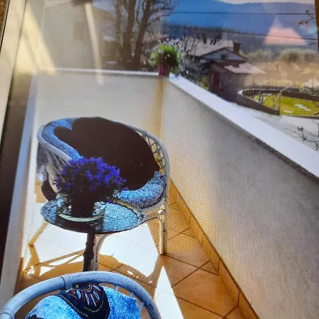 Moonflower Pliskovica