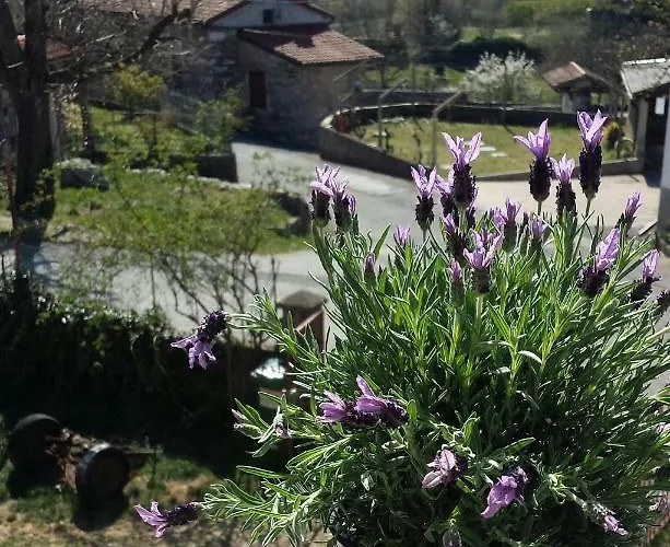 Moonflower Dom wakacyjny *