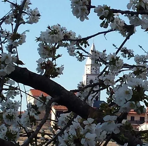 Dom wakacyjny Moonflower *